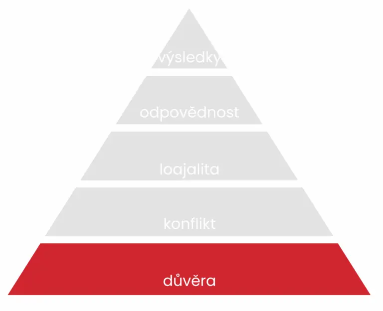 The Five Behaviors, důvěra, spolupráce, týmy, management, leadership
